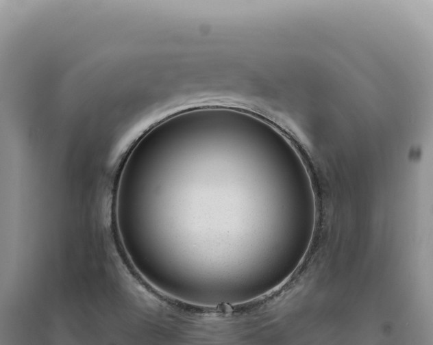 X0000094381504200711091549