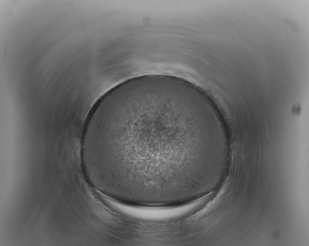 X0000094381505200711091549