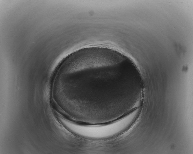 X0000094381506200711091549