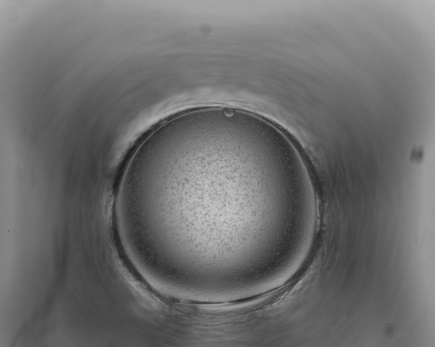 X0000094381507200711091549