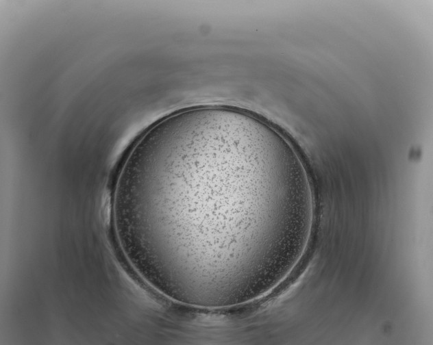 X0000094381509200711091549