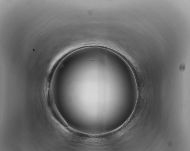 X0000094381510200711091549