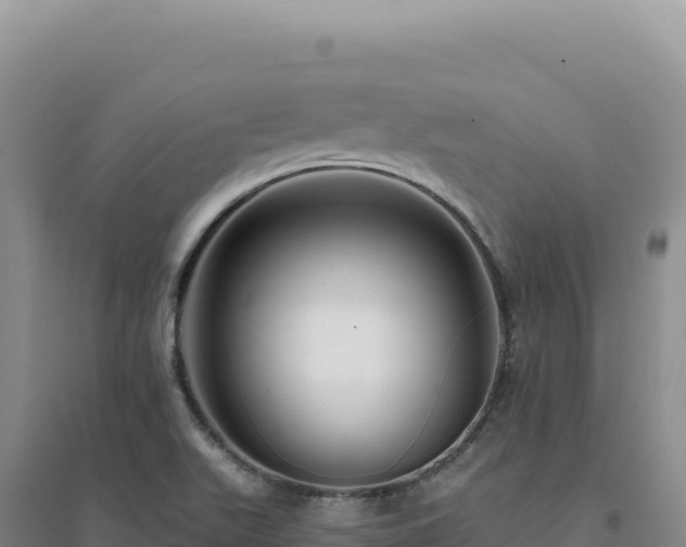 X0000094381511200711091549