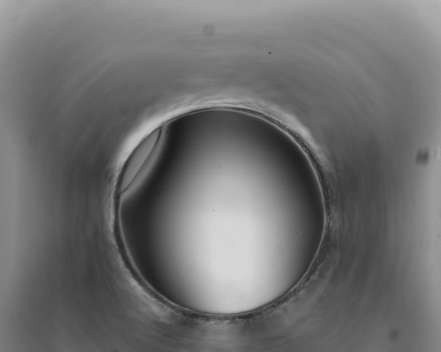 X0000094381512200711091549