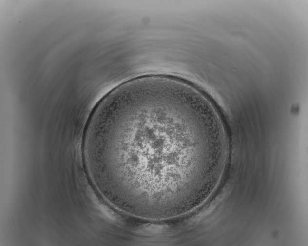X0000094381513200711091549