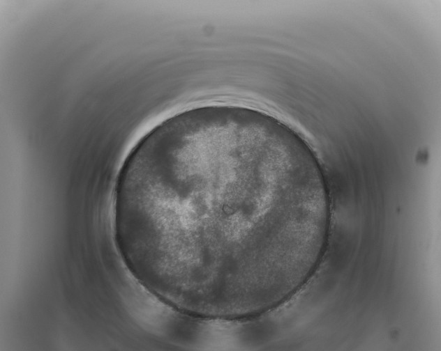 X0000094381514200711091549
