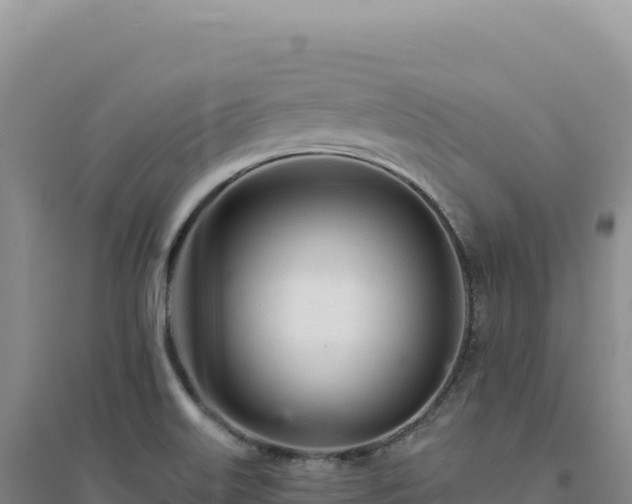 X0000094381515200711091549