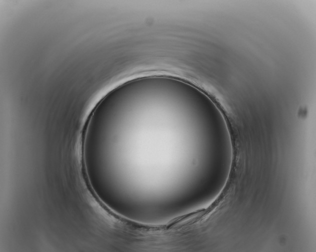 X0000094381516200711091549
