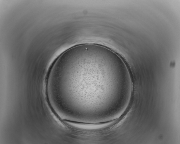 X0000094381517200711091549