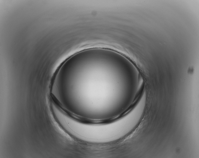 X0000094381518200711091549