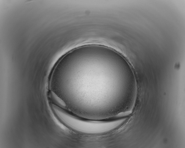 X0000094381519200711091549