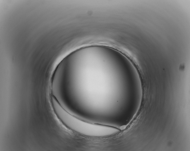 X0000094381520200711091549