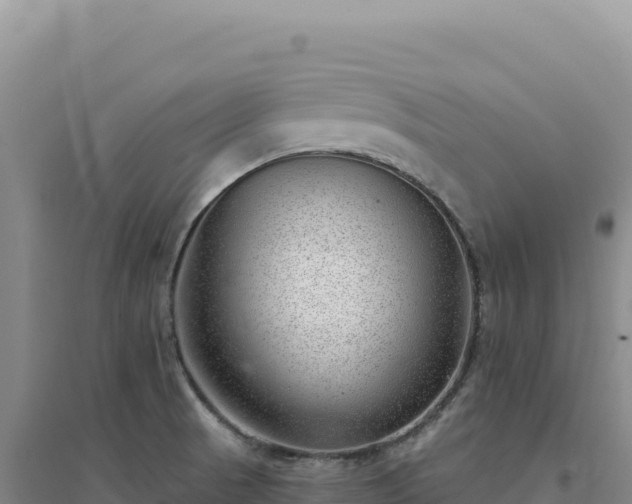 X0000094381521200711091549