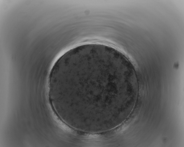 X0000094381522200711091549