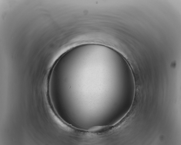 X0000094381523200711091549