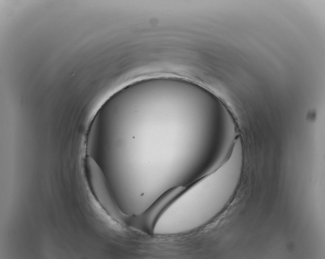 X0000094381524200711091549