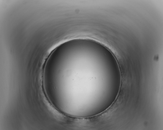 X0000094381526200711091549