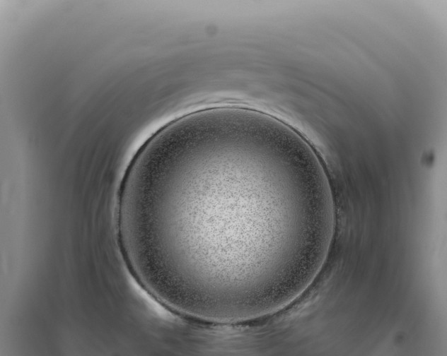 X0000094381527200711091549