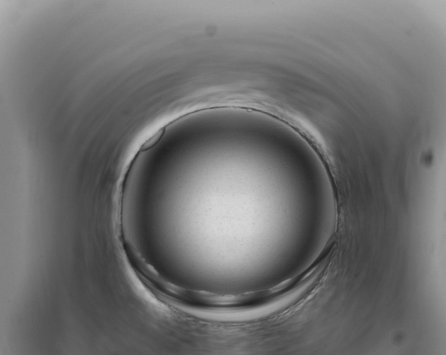 X0000094381528200711091549