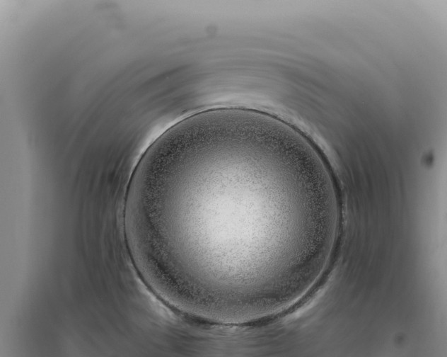 X0000094381529200711091549