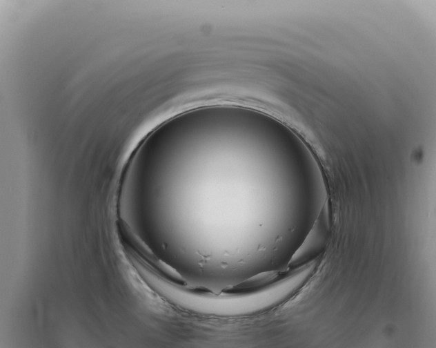 X0000094381530200711091550