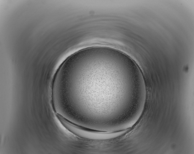 X0000094381531200711091550