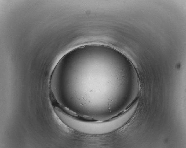 X0000094381532200711091550