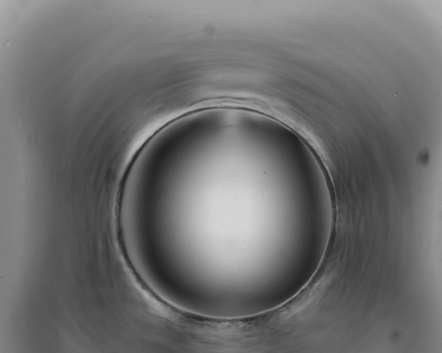X0000094381533200711091550