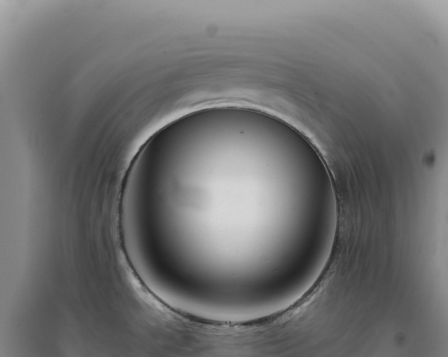 X0000094381534200711091550