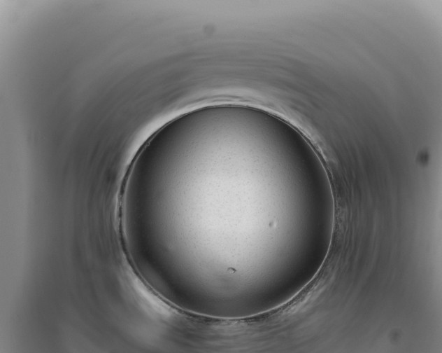X0000094381535200711091550