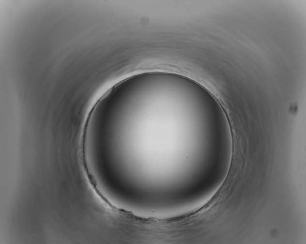 X0000094381536200711091550