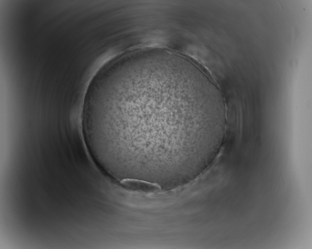 X0000094380003200711162140