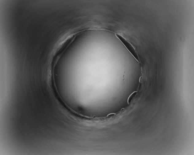X0000094380005200711162140