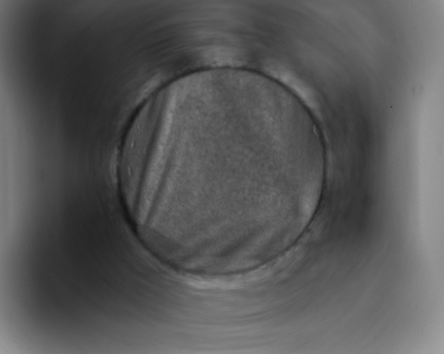X0000094380009200711162140
