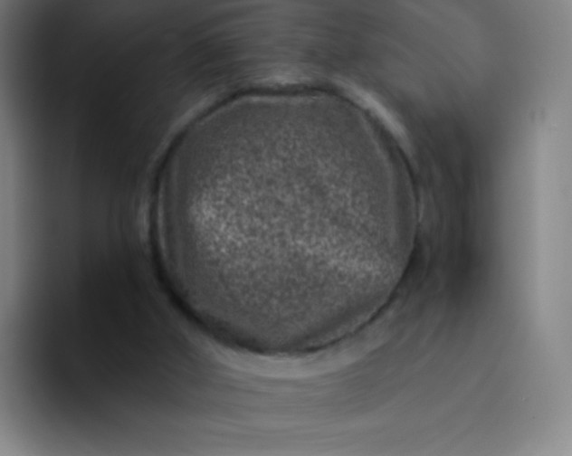 X0000094380010200711162140