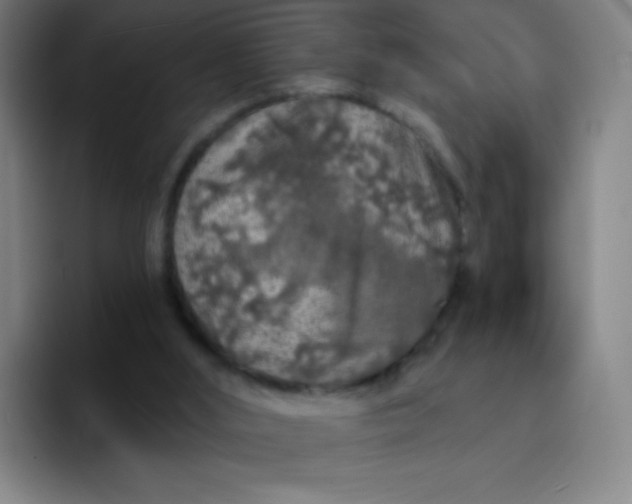 X0000094380012200711162140