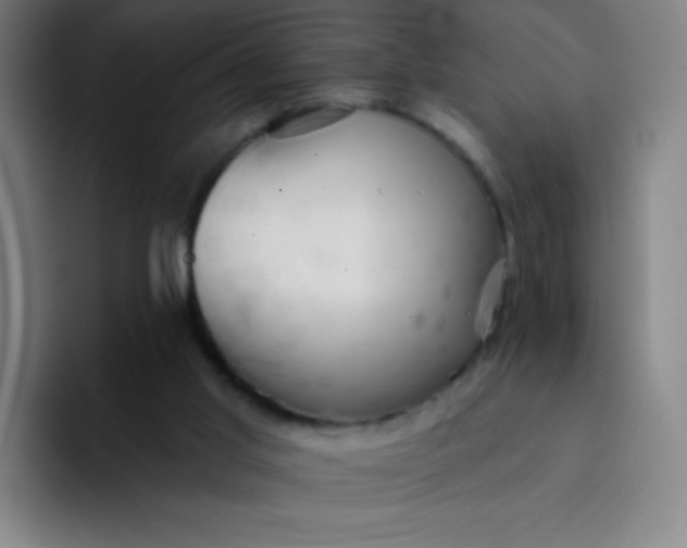 X0000094380013200711162140