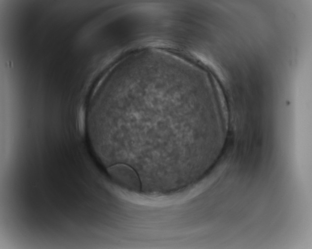 X0000094380014200711162140