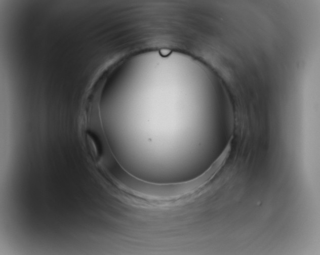 X0000094380015200711162140