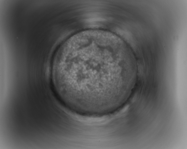 X0000094380016200711162140