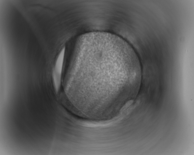 X0000094380017200711162140