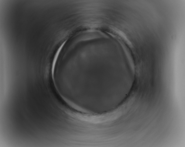 X0000094380018200711162140