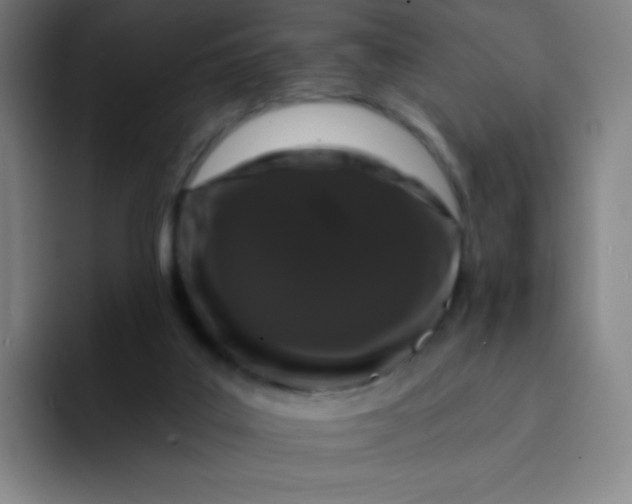 X0000094380019200711162140