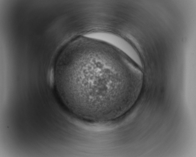 X0000094380020200711162140