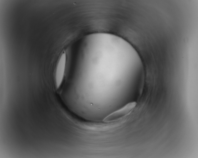 X0000094380021200711162140