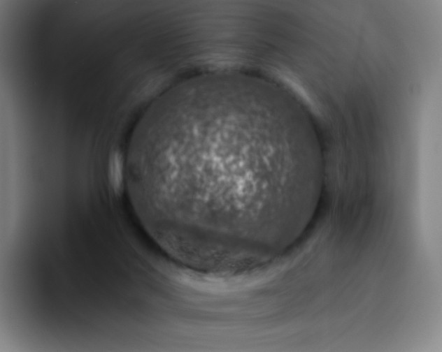 X0000094380022200711162140