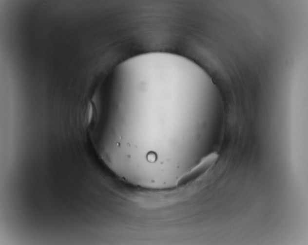X0000094380025200711162140