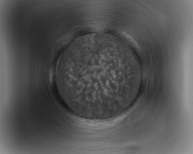 X0000094380026200711162140