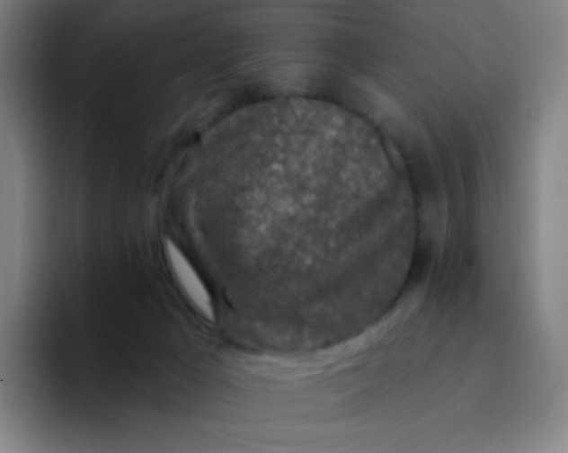 X0000094380029200711162139