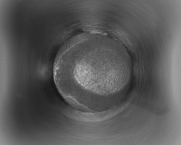 X0000094380030200711162139